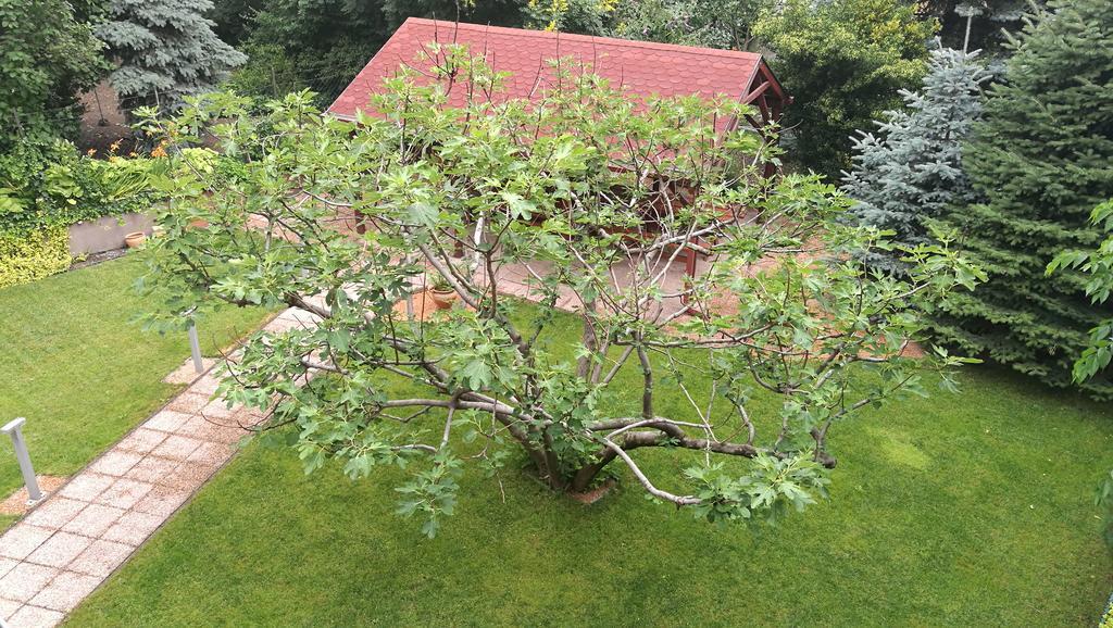 Fig Tree House Budapeşte Dış mekan fotoğraf