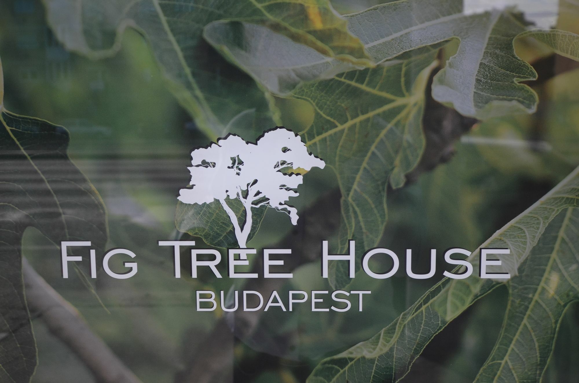 Fig Tree House Budapeşte Dış mekan fotoğraf