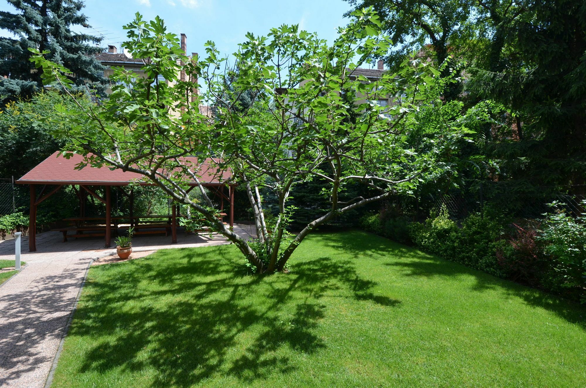 Fig Tree House Budapeşte Dış mekan fotoğraf